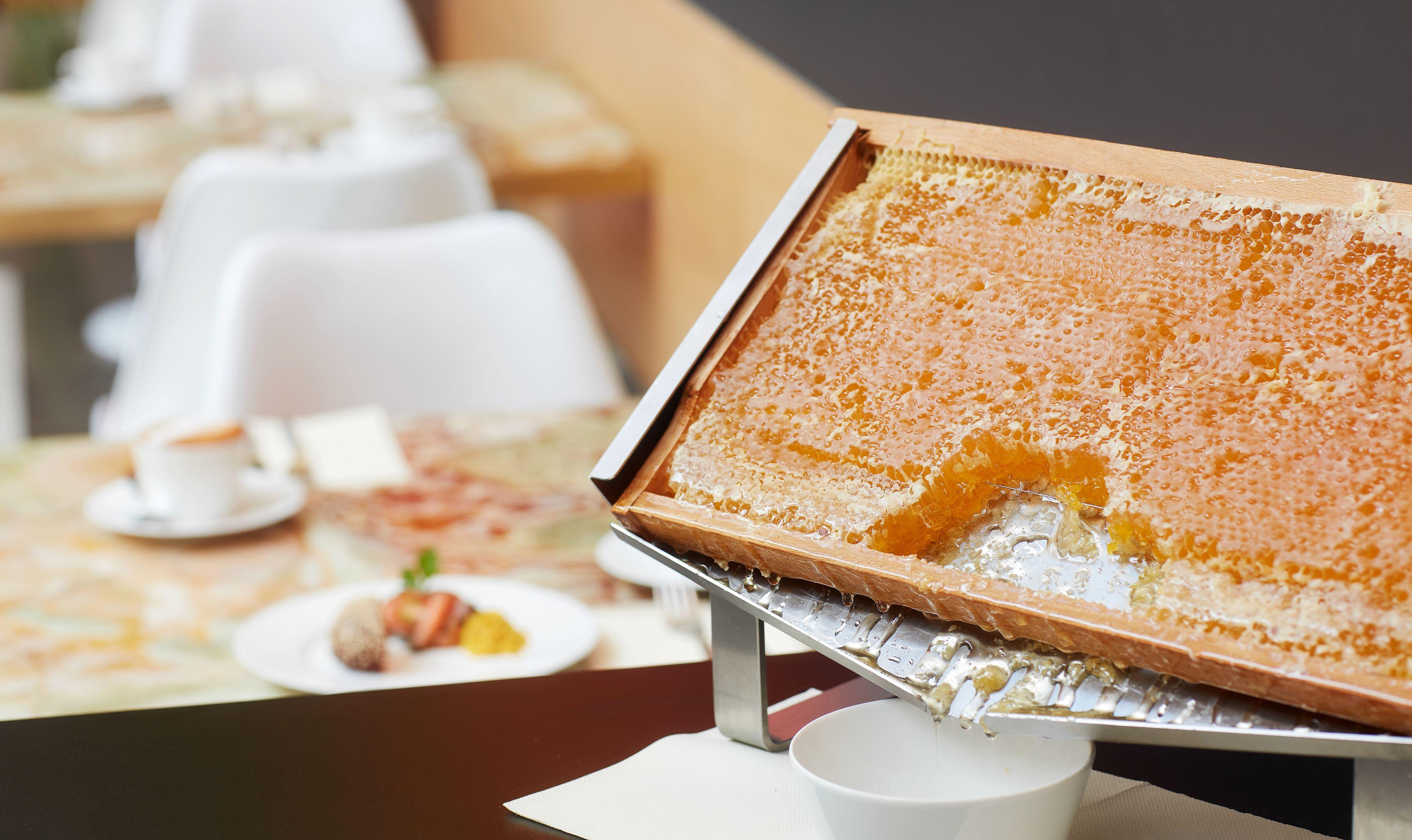 Hotel Living De Medici Düsseldorf